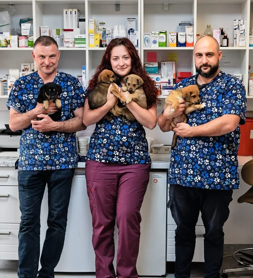 Tím Veterinár Maniak so šteniatkami vo veterinárnej ambulancii v Žiari nad Hronom
